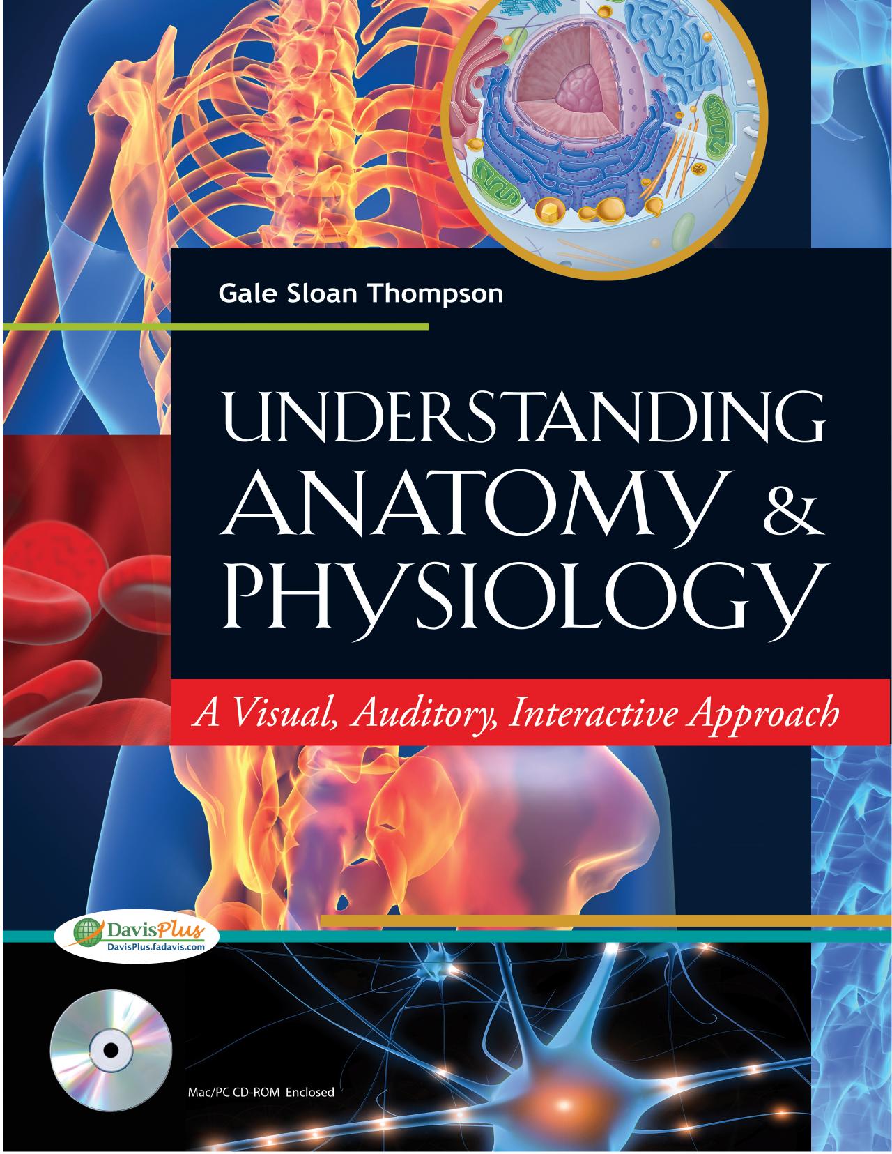 Understanding anatomy & physiology : a visual, auditory, interactive approach by Gale Sloan Thompson