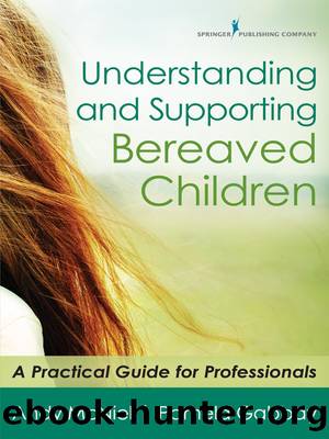 Understanding and Supporting Bereaved Children: A Practical Guide for Professionals by Andy McNiel and Pamela Gabbay
