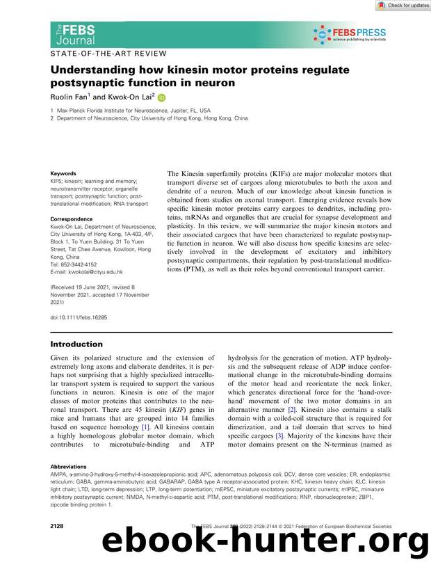 Understanding how kinesin motor proteins regulate postsynaptic function in neuron by Unknown