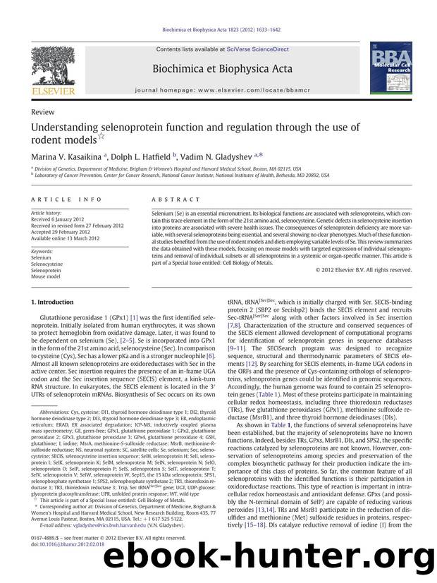 Understanding selenoprotein function and regulation through the use of rodent models by Marina V. Kasaikina & Dolph L. Hatfield & Vadim N. Gladyshev