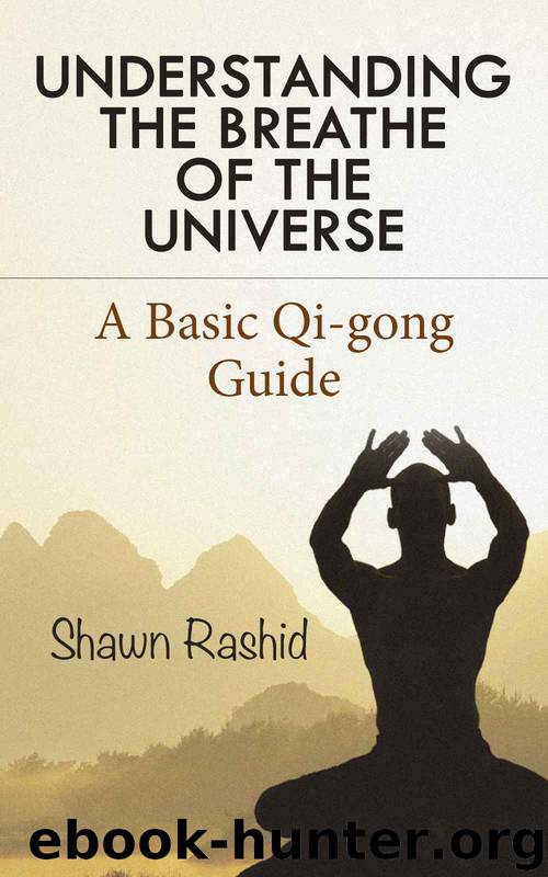 Understanding the Breathe of the Universe: A Basic Qi Gong Guide by Shawn Rashid