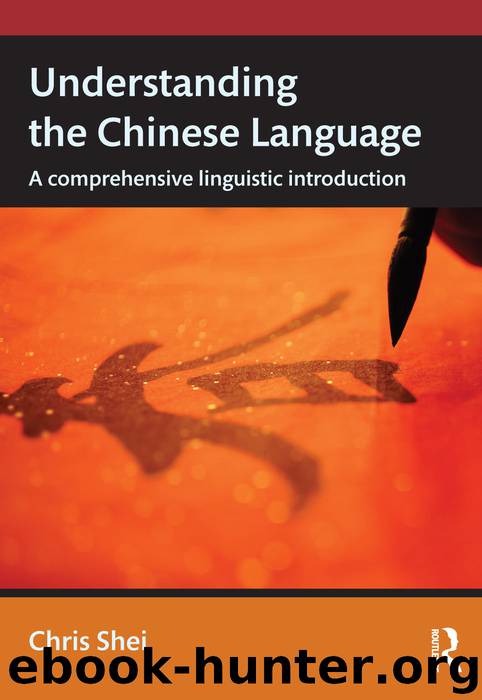 Understanding the Chinese Language by Shei Chris