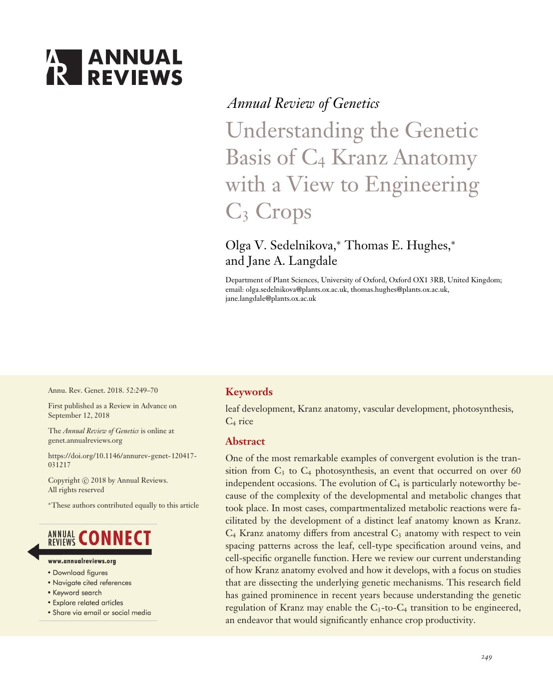 Understanding the Genetic Basis of C4 Kranz Anatomy with a View to Engineering C3 Crops by Olga V. Sedelnikova Thomas E. Hughes Jane A. Langdale