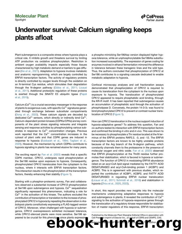 Underwater survival: Calcium signaling keeps plants afloat by Daai Zhang & Francesco Licausi
