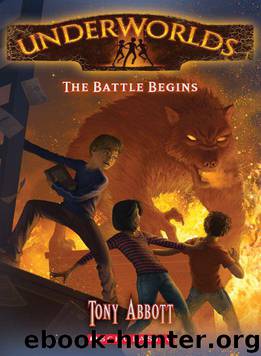 Underworlds #1: The Battle Begins by Tony Abbott