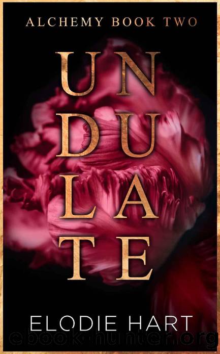 Undulate: A Hot Age Gap, Single Dad Romance (Alchemy) by Elodie Hart