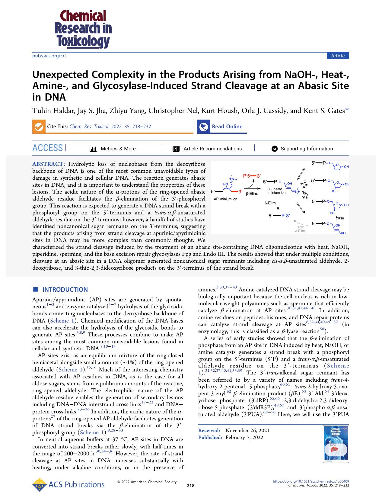 Unexpected Complexity in the Products Arising from NaOH-, Heat-, Amine-, and Glycosylase-Induced Strand Cleavage at an Abasic Site in DNA by unknow
