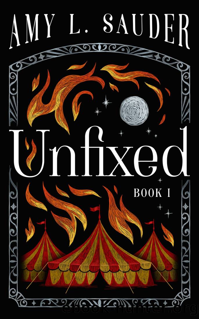 Unfixed by Amy L. Sauder