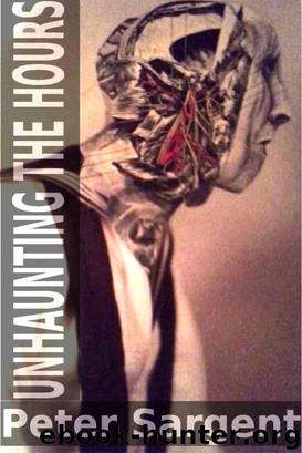 Unhaunting The Hours by Peter Sargent