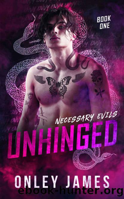 Unhinged: Necessary Evils Book One by James Onley