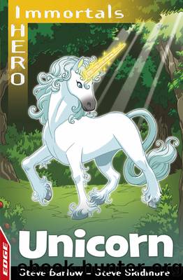 Unicorn by Steve Barlow