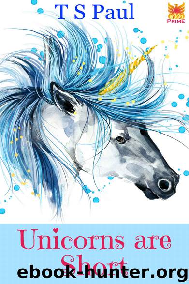 Unicorns are Short: Tales from the Federal Witch World by T S Paul