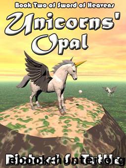 Unicorns' Opal by Richard S. Tuttle