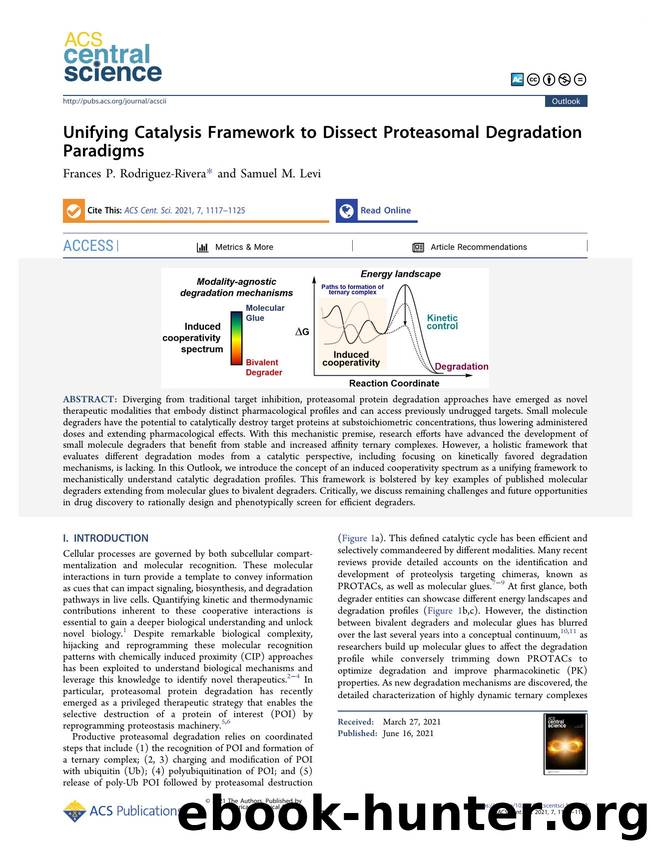 Unifying Catalysis Framework to Dissect Proteasomal Degradation Paradigms by unknow