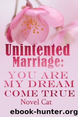 Unintented Marriage by Novel Cat
