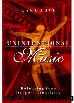 Unintentional Music by Lane Arye