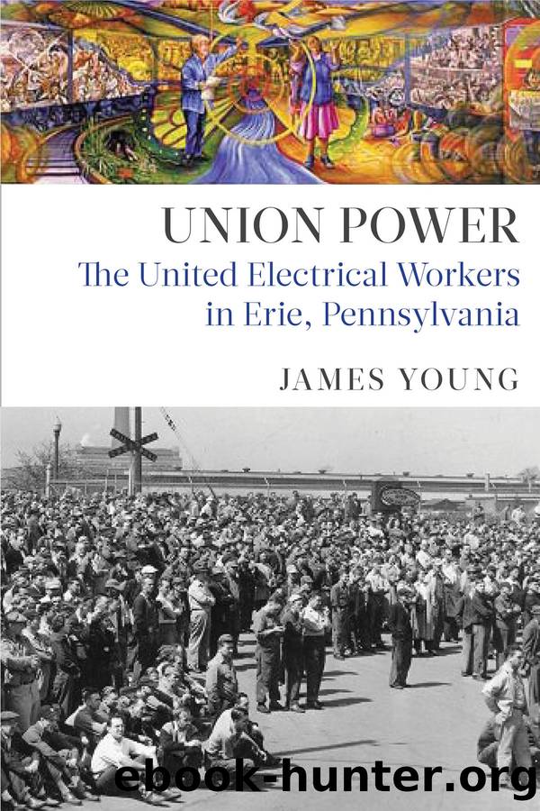 Union Power: The United Electrical Workers in Erie, Pennsylvania by James Young
