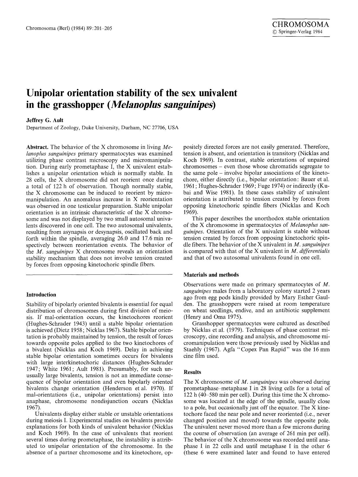 Unipolar orientation stability of the sex univalent in the grasshopper (<Emphasis Type="Italic">Melanoplus sanguinipes<Emphasis>) by Unknown