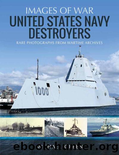 United States Navy Destroyers by Michael Green;