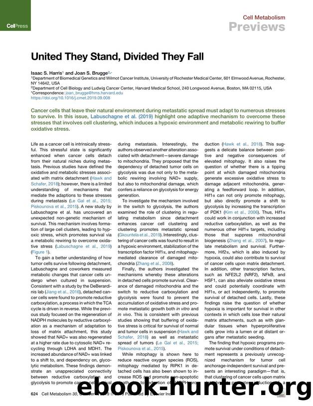 United They Stand, Divided They Fall by Isaac S. Harris & Joan S. Brugge