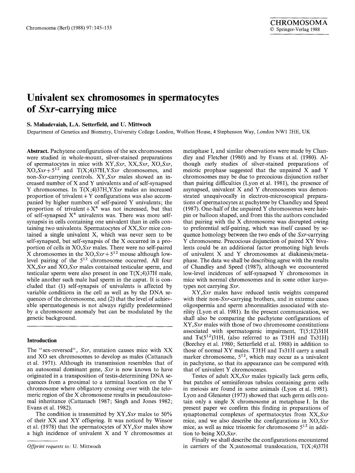Univalent sex chromosomes in spermatocytes of <Emphasis Type="Italic">Sxr<Emphasis>-carrying mice by Unknown