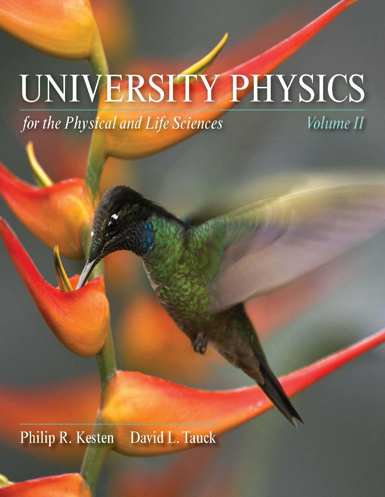 University Physics for the Physical and Life Sciences: Volume 2 by Philip R. Kesten & David L. Tauck