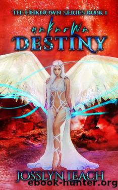 Unknown Destiny by Josslyn Leach