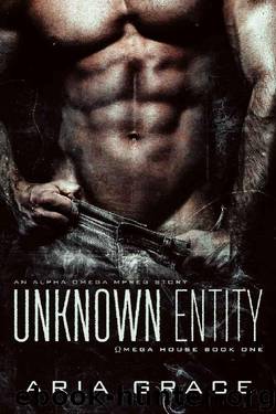 Unknown Entity by Aria Grace