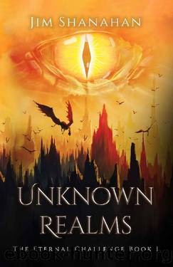 Unknown Realms, The Eternal Challenge, Book 1: An Epic Fantasy LitRPG Adventure by Jim Shanahan