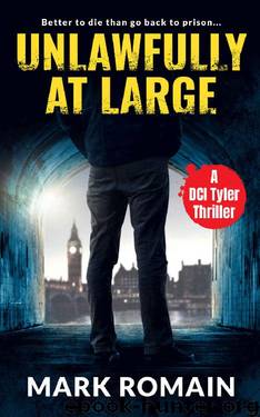 Unlawfully At Large by Mark Romain