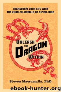 Unleash the Dragon Within by Steven Macramalla Ph.D