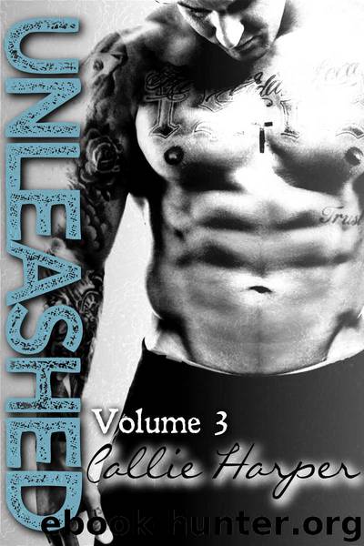 Unleashed #3 by Callie Harper