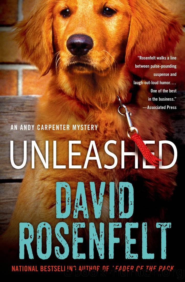 Unleashed: An Andy Carpenter Mystery by David Rosenfelt