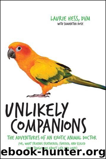 Unlikely Companions by Laurie Hess