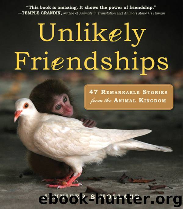 Unlikely Friendships : 47 Remarkable Stories From the Animal Kingdom by Holland Jennifer S