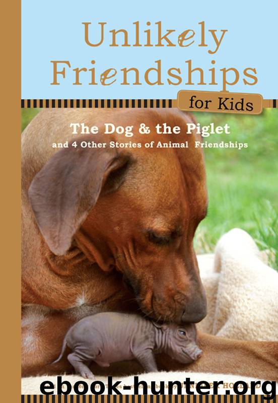 Unlikely Friendships for Kids by Jennifer S. Holland