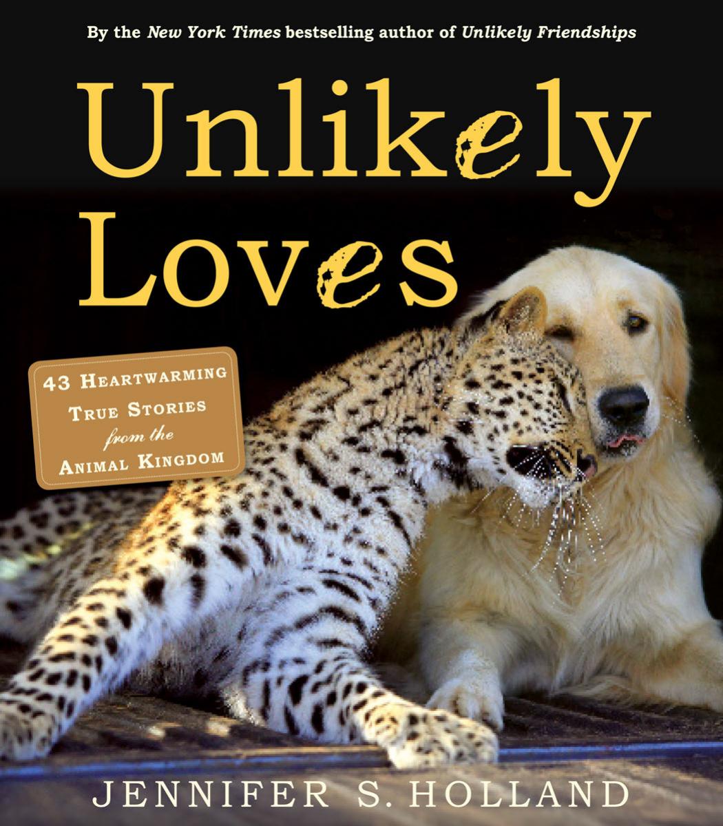 Unlikely Loves by Jennifer S. Holland