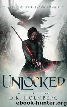 Unlocked (First of the Blade Book 3) by D.K. Holmberg