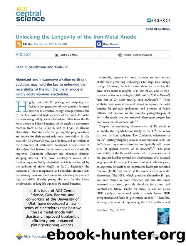 Unlocking the Longevity of the Iron Metal Anode by Sean K. Sandstrom & Xiulei Ji (ORCID: g/0000-0002-4649-9594)