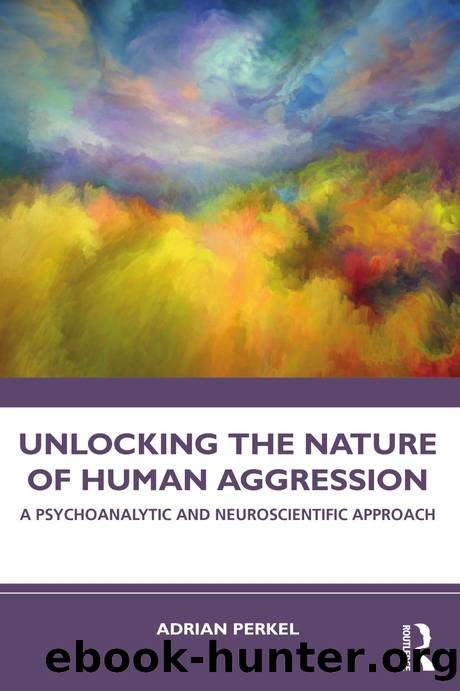 Unlocking the Nature of Human Aggression; A Psychoanalytic and Neuroscientific Approach by Adrian Perkel