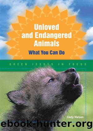 Unloved and Endangered Animals by Cindy Watson