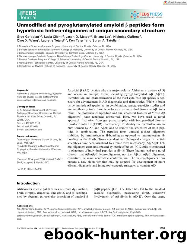 Unmodified and pyroglutamylated amyloid Î² peptides form hypertoxic heteroâoligomers of unique secondary structure by Unknown