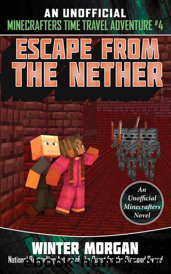 Unofficial Time Travel: Escape from the Nether by Winter Morgan