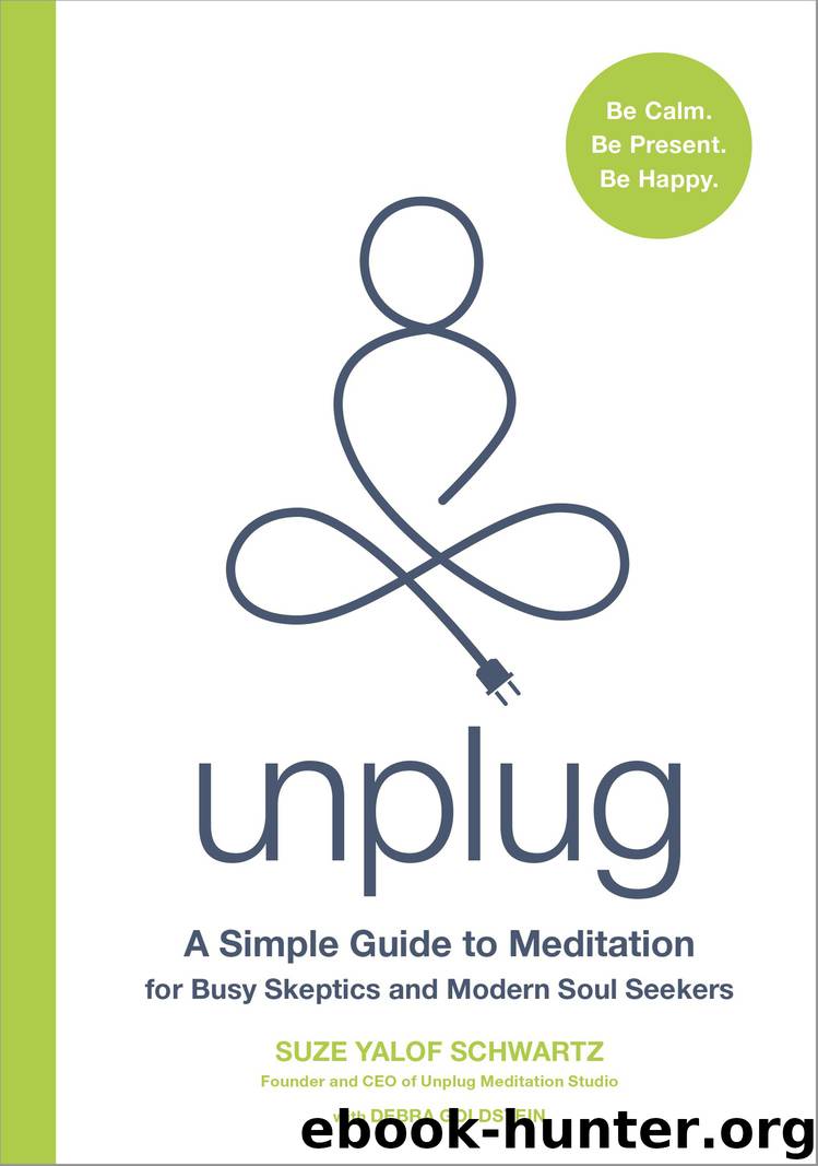 Unplug by Suze Yalof Schwartz