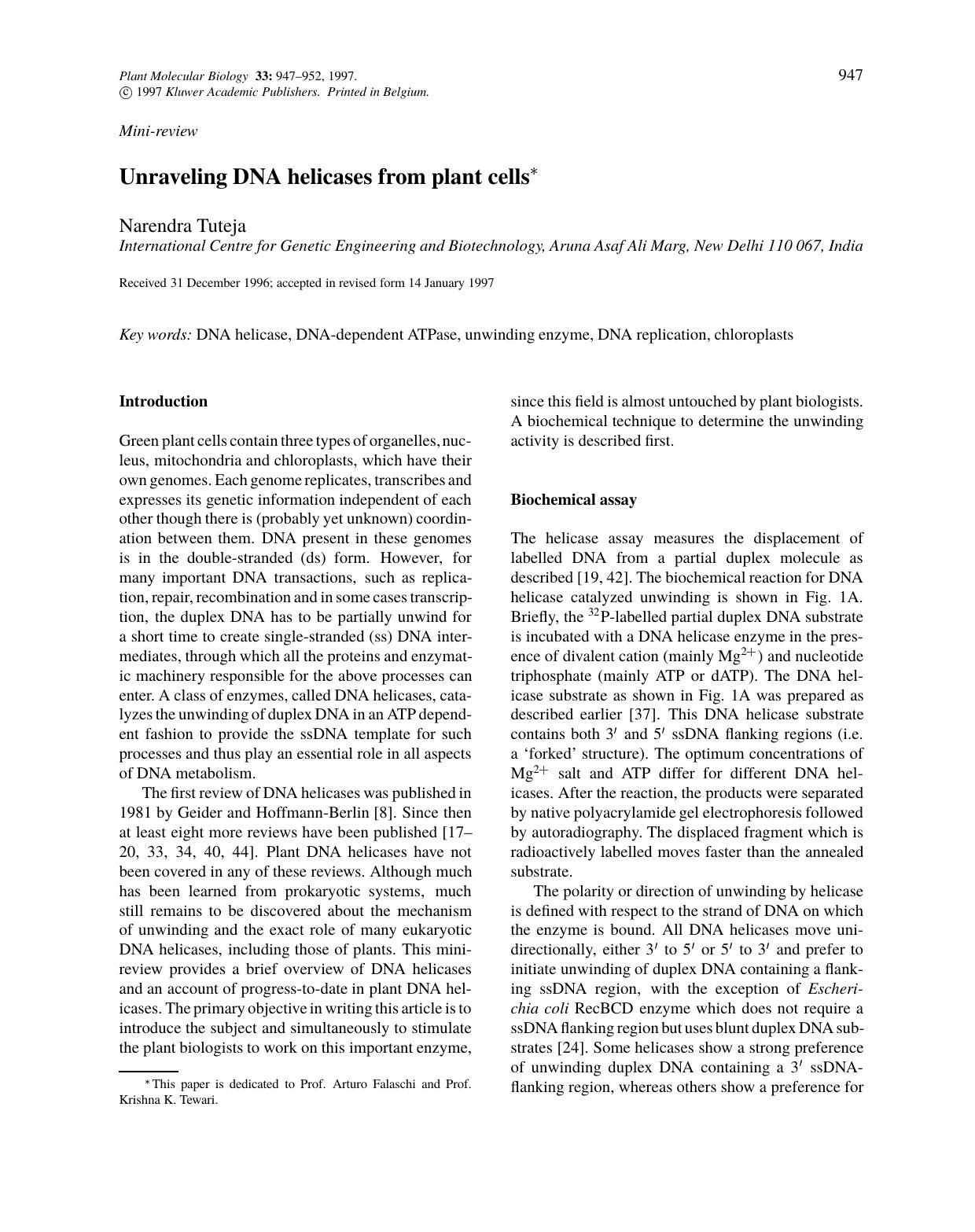Unraveling DNA helicases from plant cells* by Unknown