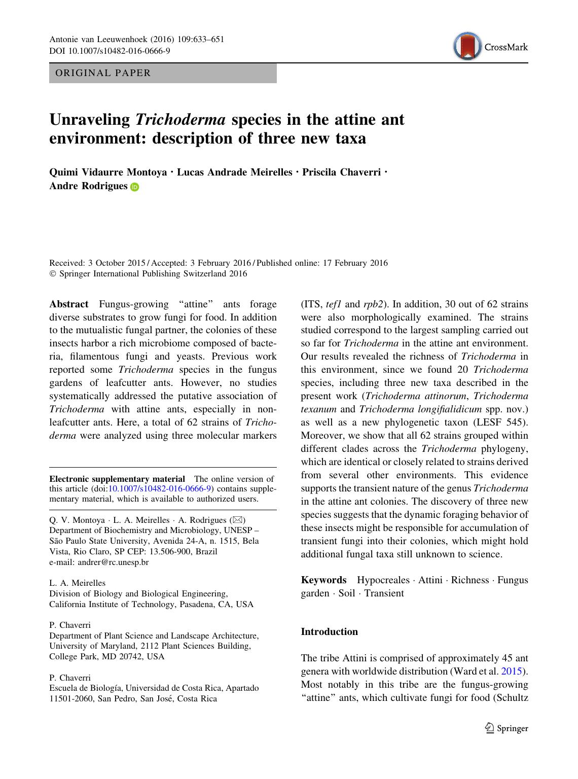 Unraveling Trichoderma species in the attine ant environment: description of three new taxa by Quimi Vidaurre Montoya & Lucas Andrade Meirelles & Priscila Chaverri & Andre Rodrigues