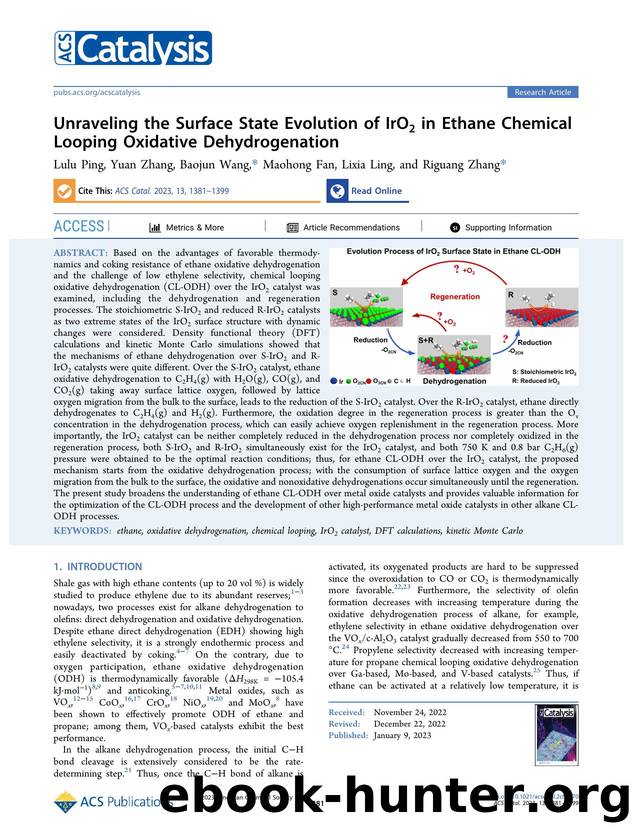 Unraveling the Surface State Evolution of IrO2 in Ethane Chemical Looping Oxidative Dehydrogenation by Lulu Ping Yuan Zhang Baojun Wang Maohong Fan Lixia Ling and Riguang Zhang