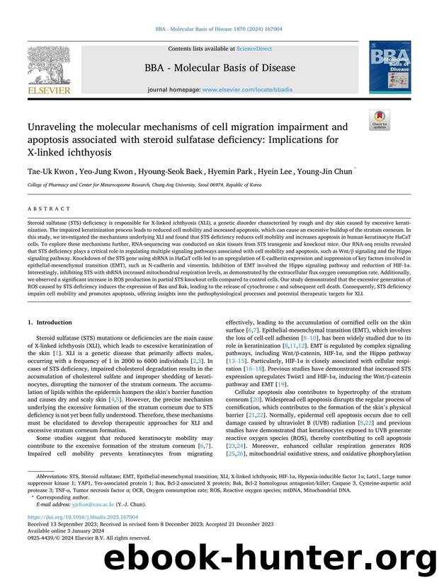 Unraveling the molecular mechanisms of cell migration impairment and apoptosis associated with steroid sulfatase deficiency: Implications for X-linked ichthyosis by Tae-Uk Kwon & Yeo-Jung Kwon & Hyoung-Seok Baek & Hyemin Park & Hyein Lee & Young-Jin Chun