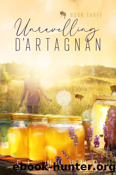 Unravelling D'Artagnan by Fi Whyms
