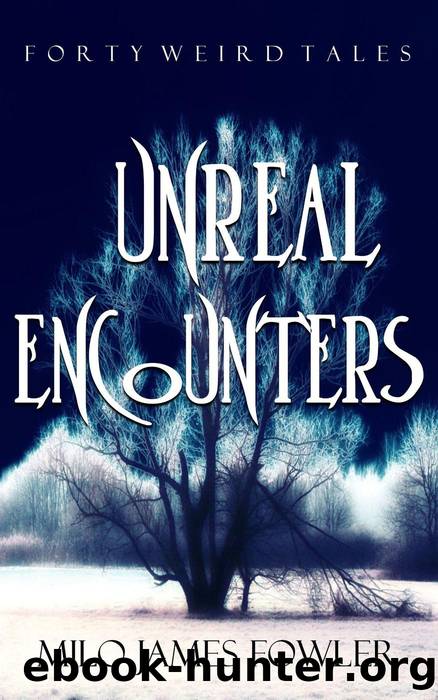 Unreal Encounters by Milo James Fowler